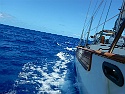 049 Sailing On